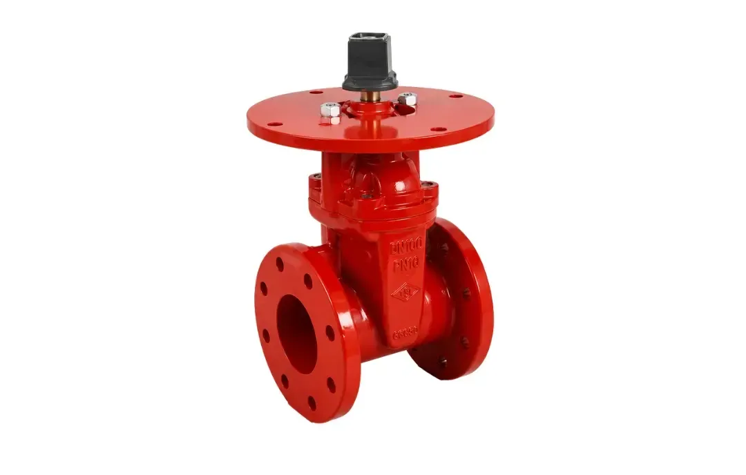 NRS Flanged Gate Valve