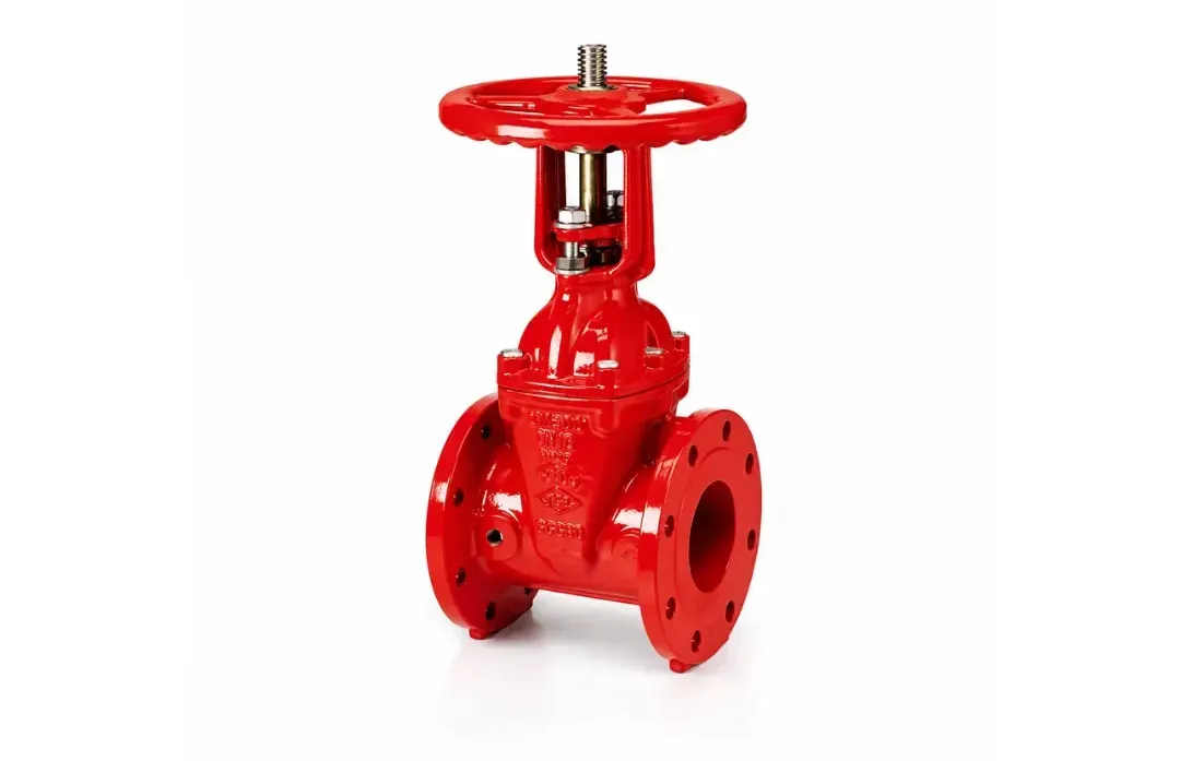 RS Flanged Gate Valve