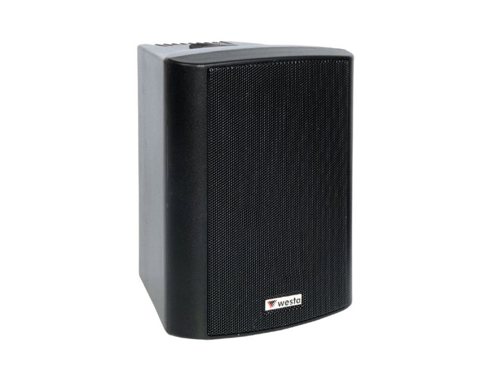 Westa WS-5TB - 5,25" 125W 16Ohm/100v - Kabin Hoparlör - IP65 - Siyah